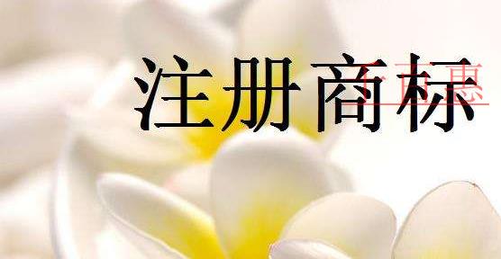 千百惠小編解答:商標(biāo)注冊一直通過不了怎么辦