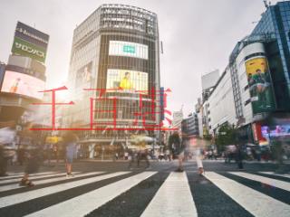 契稅、土地增值稅計稅依據(jù)該不該包含增值稅？