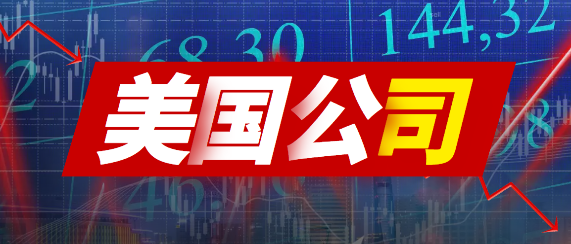 如何選擇美國(guó)公司注冊(cè)的類型？有什么要求？